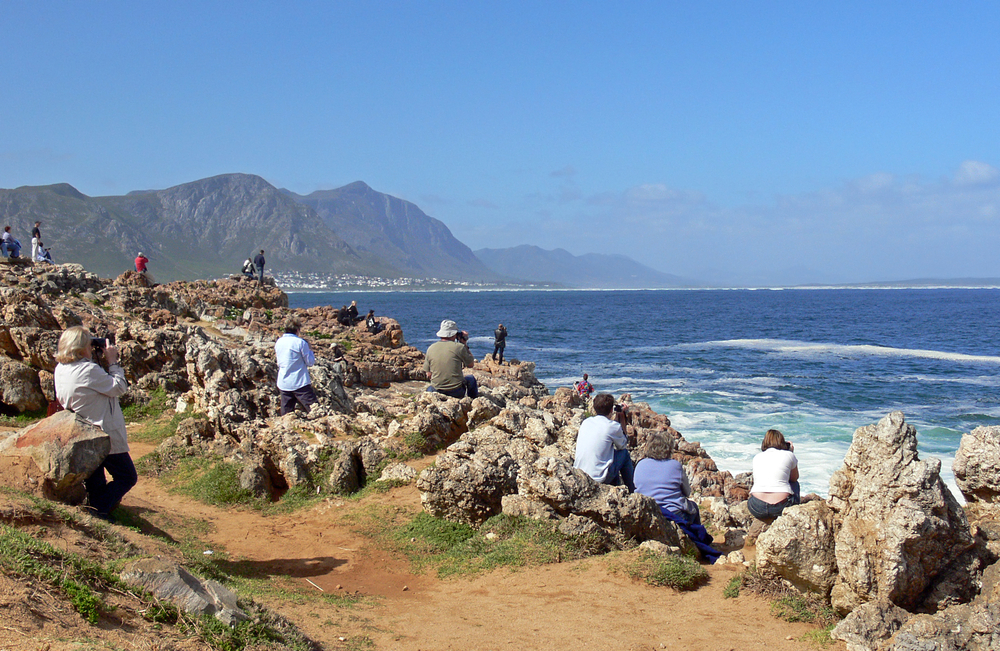Hermanus whale watchers, South Africa