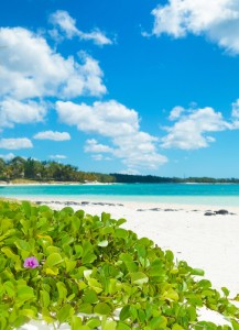 Mauritius Beach 179564042