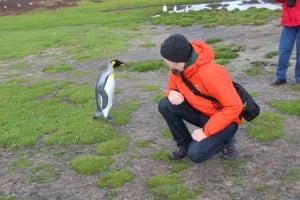 Penguin's are very curious
