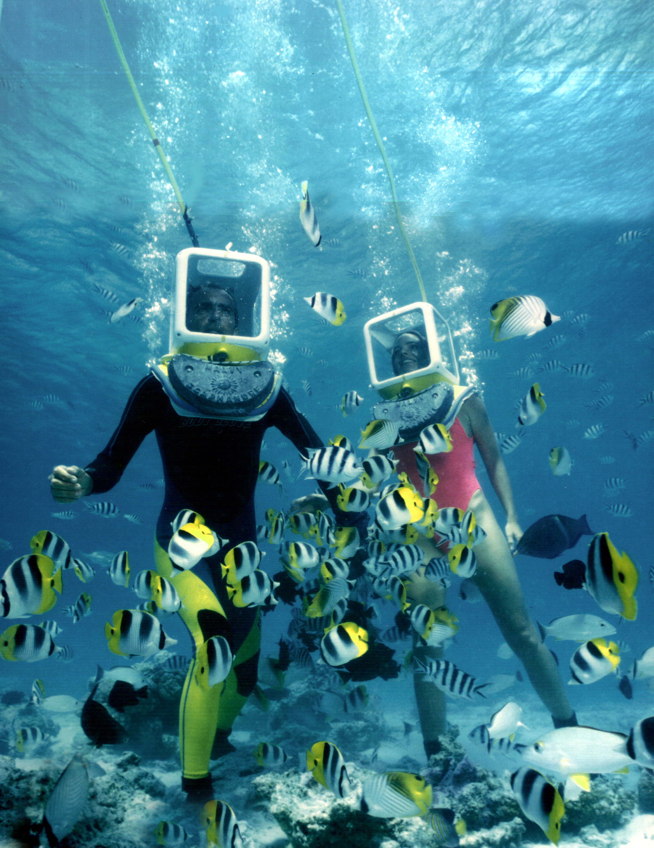 aqua safari underwater walk
