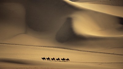 Camel caravan passes through the Sands of the Taklimakan Desert