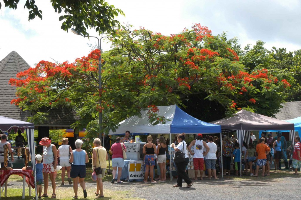 Saturday Market Cook Islands