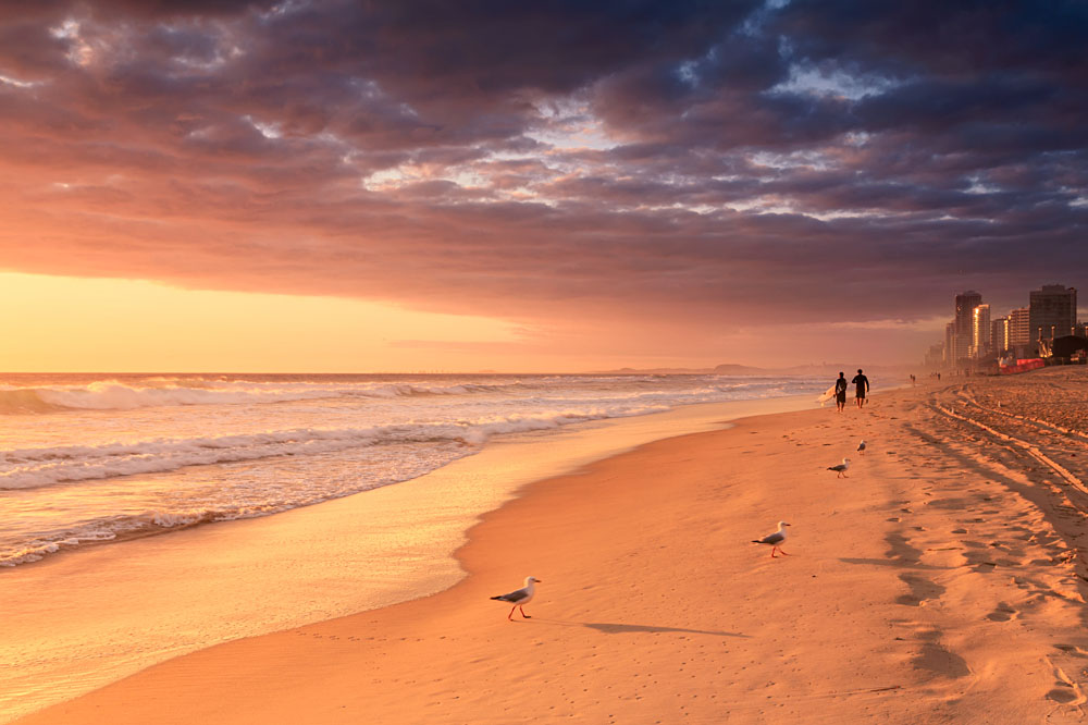 Surfers walk along the Gold Coast beach at sunrise, Queensland, Australia