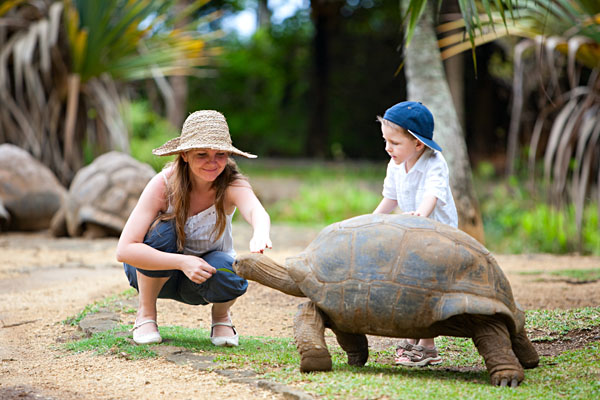 Children Feeding Giant Turtle Mauritius, Africa