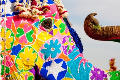 Painted Elephant, Jaipur