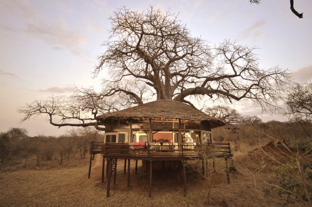 Treehouse at Tarangire Treetops, Tanzania