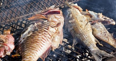 Fresh fish on the barbecue