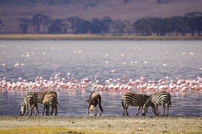 Lake Nakuru, Kenya