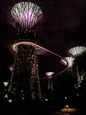 Night Shot of Gardens By the Bay, Singapore