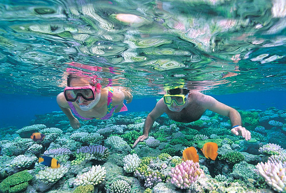 Snorkeling at Great Barrier Reef, Australia