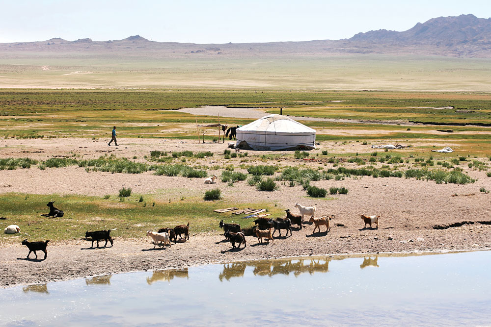 Traditional Mongolian landscape