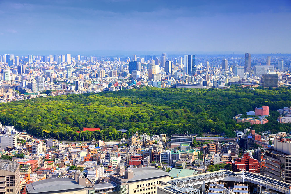 Aerial view of Shinjuku and Shibuya Districts with Yoyogi Park, Tokyo, Japan