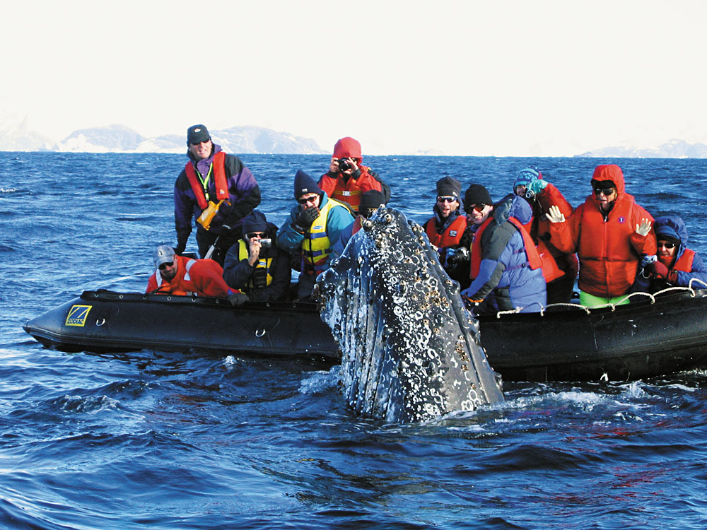 Humpback Whale Encounter, Antarctica
