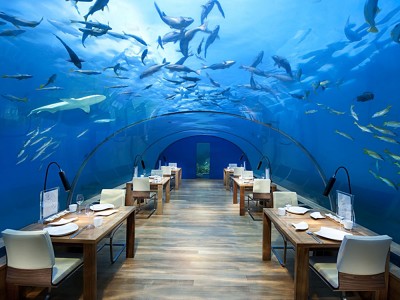 Ithaa Undersea Restaurant, Conrad Maldives Rangali Island, Maldives