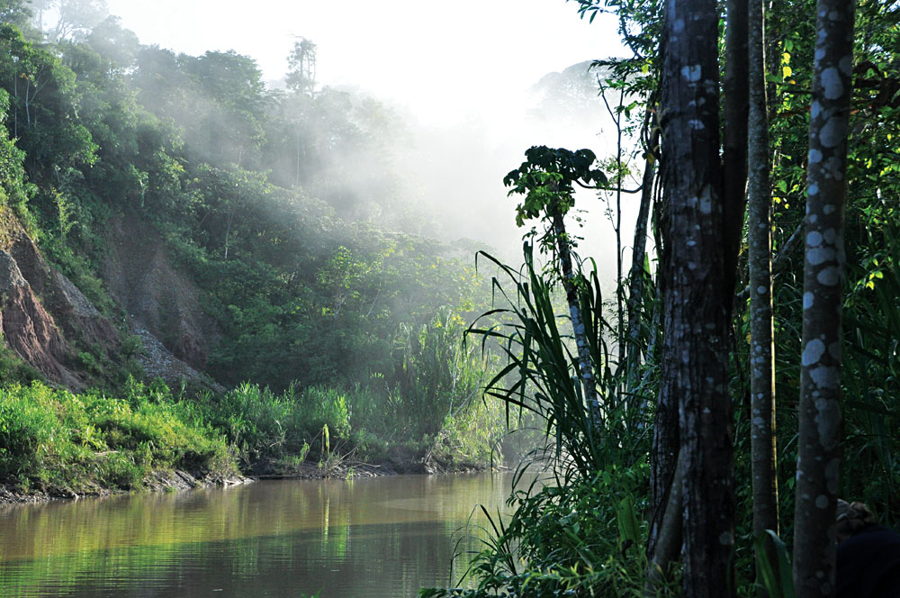 Peruvian Amazon, Peru