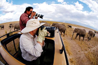 Photographing Elephants in Africa