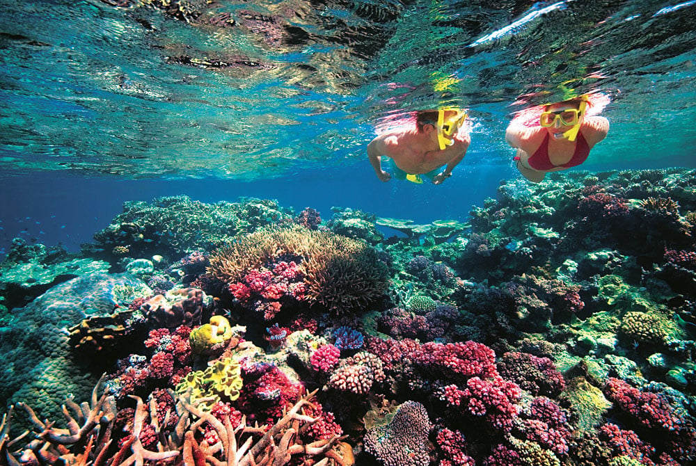 Snorkelling at Great Barrier Reef, Australia