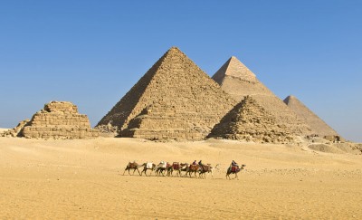 Camels Walking in Front of Pyramids, Egypt
