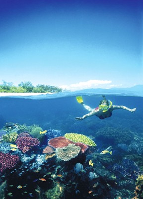 Great Barrier Reef Snorkel, Queensland, Australia