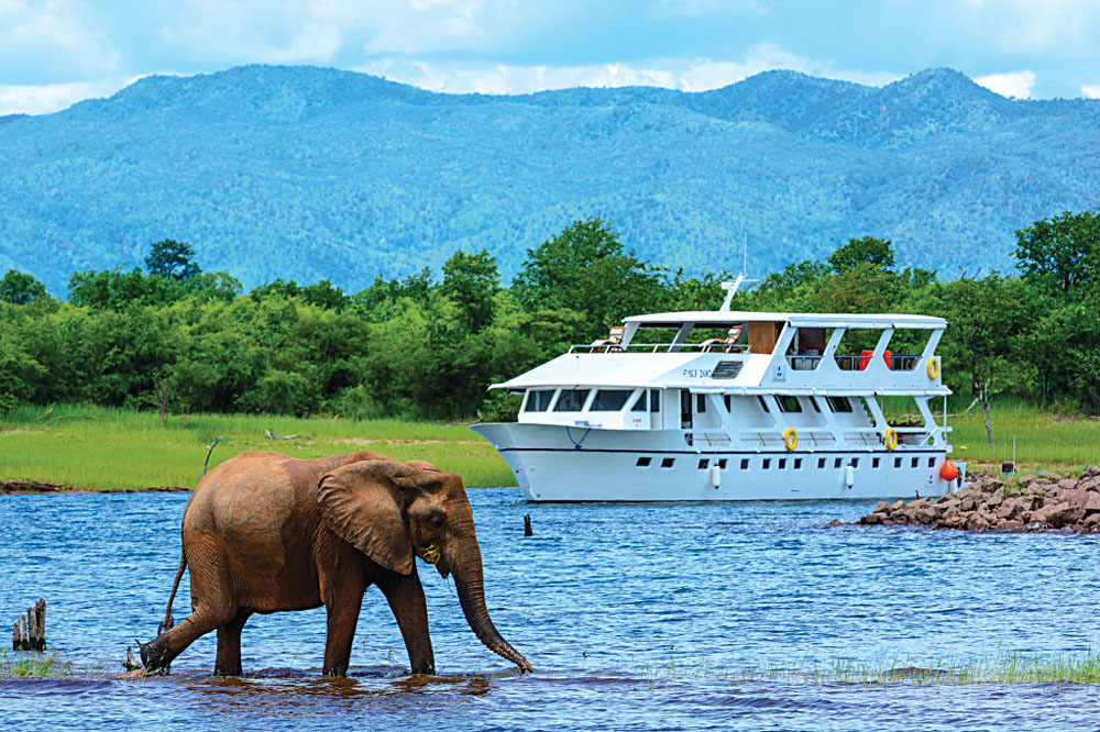 Matusadona Cruise Boat and Elephant, Zimbabwe