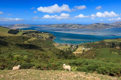 Otago Peninsula, Dunedin, New Zealand