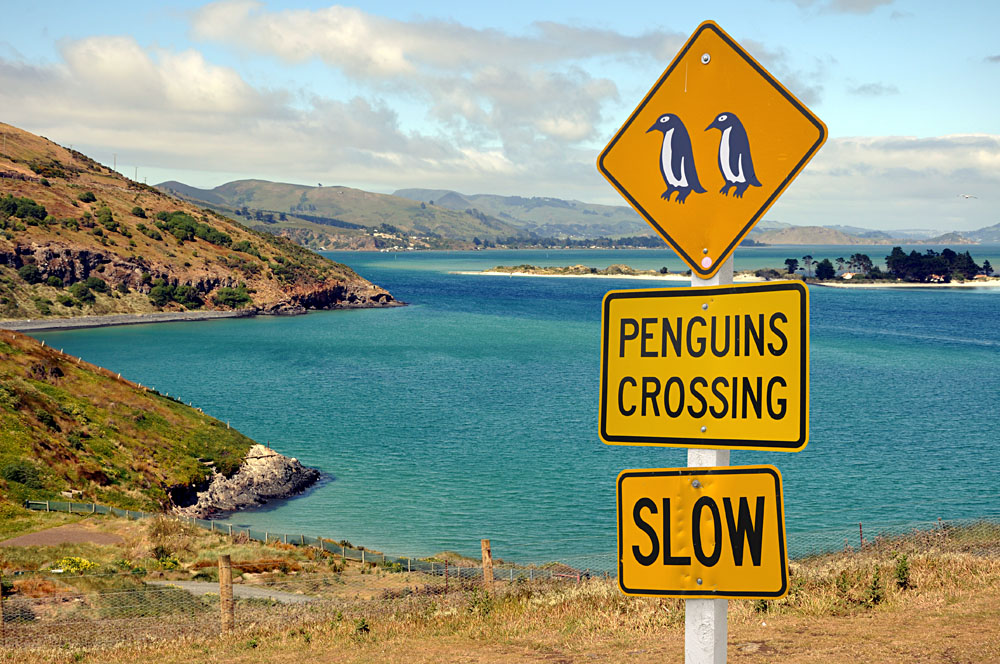 Penguin Crossing Road Sign, Otago Peninsula, New Zealand