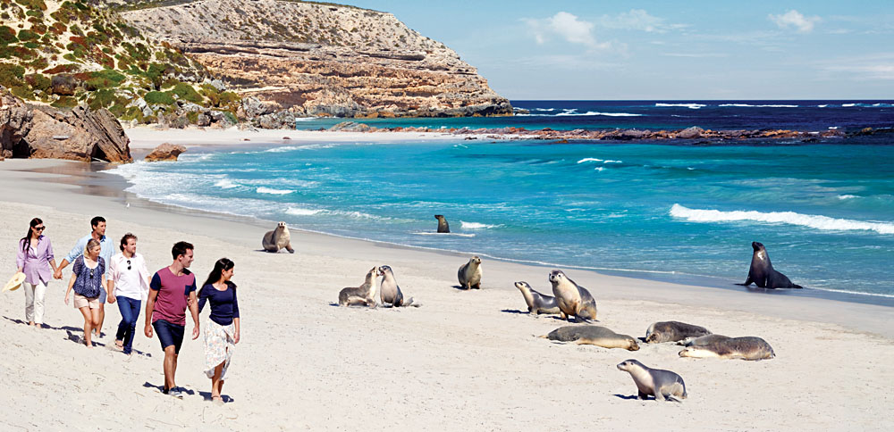 Seal Bay Conservation Park, Kangaroo Island, Australia