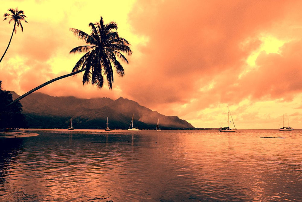 Tropical Sunset in Moorea, French Polynesia