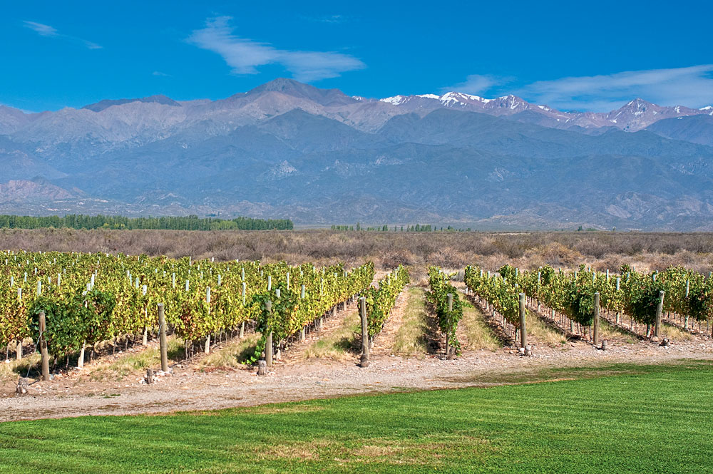 A Taste of Mendoza - Argentina's Wine Country | Goway
