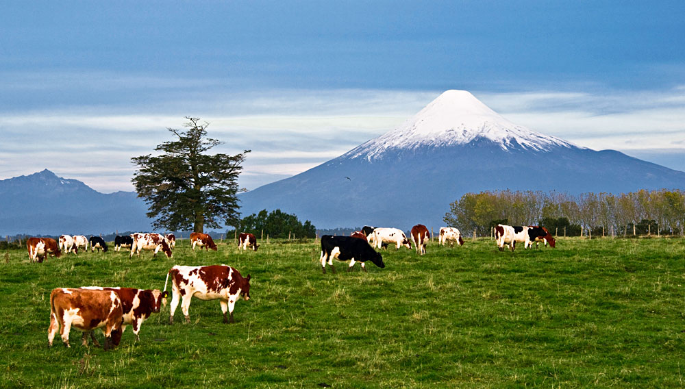 Landscape of Osorno Volcano, Lake District, Chile