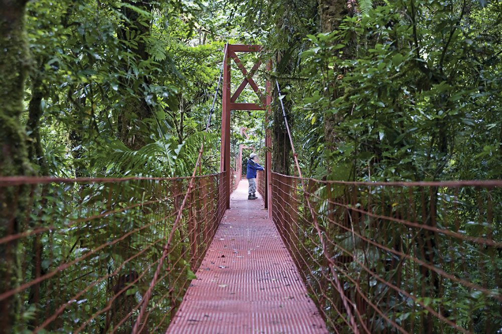 Monteverde Cloud Forest Canopy Walk, Costa Rica