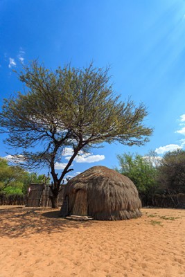 Traditional San Bushmen Hut in Kalahari, Botswana