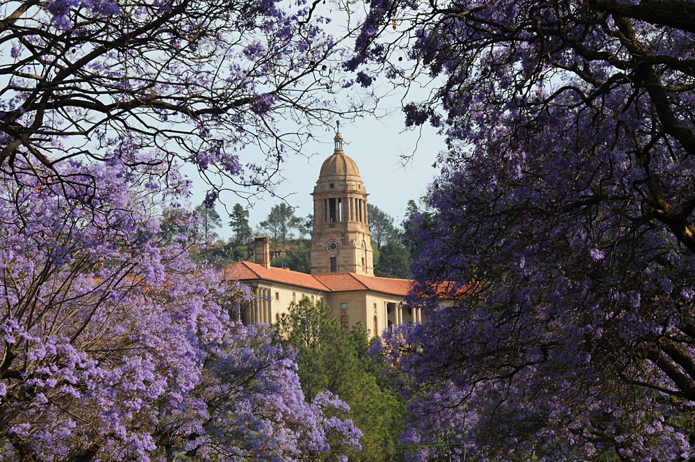 Union Building with Jacaranda Trees in Bloom, Pretoria, South Africa