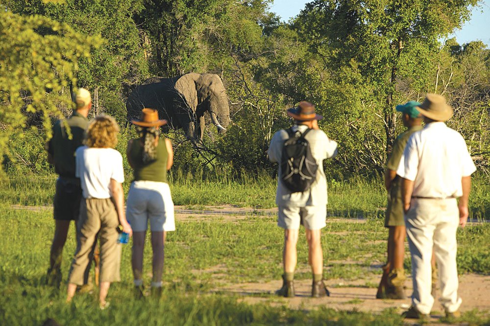 Walking Safari, Kruger National Park, South Africa