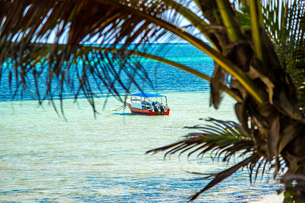 Boat in the Waters of Mombasa, Kenya