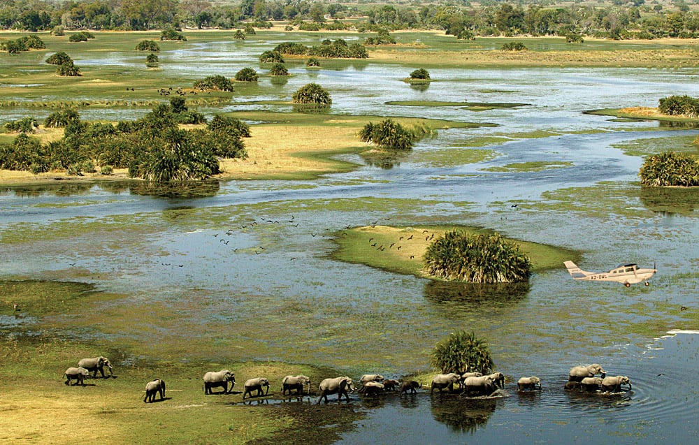 Botswana Flying Safari
