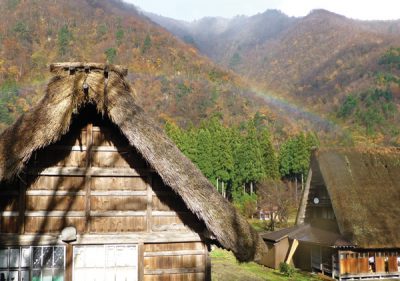 Shirakawago is famous for the traditional gassho-zukuri farmhouses, some of which are more than 250 years old.