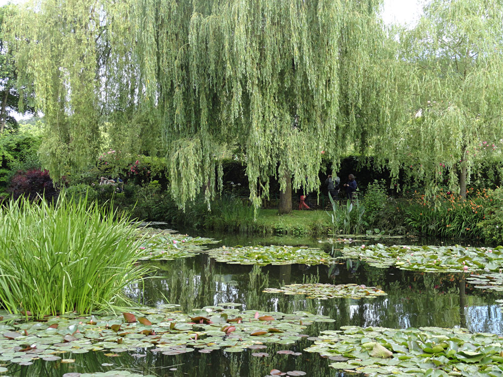 Steve Martin - Claude Monet's House and Gardens, Giverny, France
