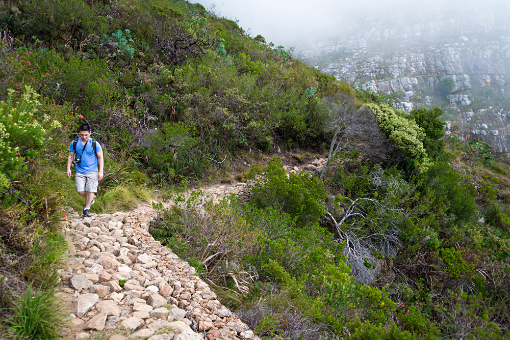 Hiker Climbing Table Mountain via Platteklip Gorge, Cape Town, South Africa