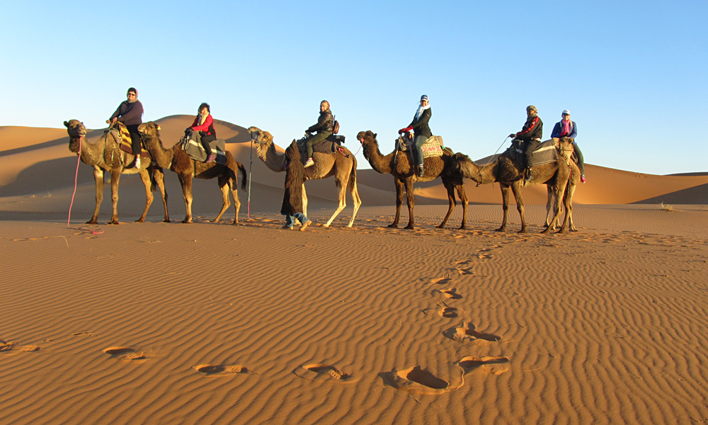 Sunrise Camel Ride in Merzouga, Morocco