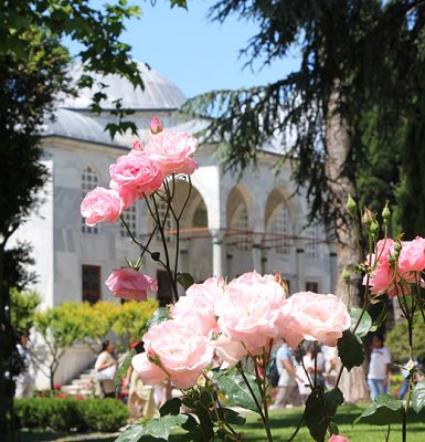 Topkapi Palace and Roses, Istanbul Turkey - Istanbul Vacation