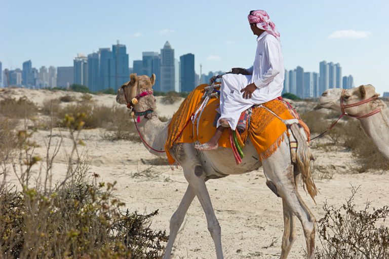 Bedouin on a Camel in the Desert Near Dubai, United Arab Emirates (UAE)
