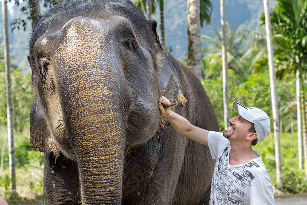 Elephant Hills Experience - Tourist Encounter with an Elephant, Khao Sak, Thailand