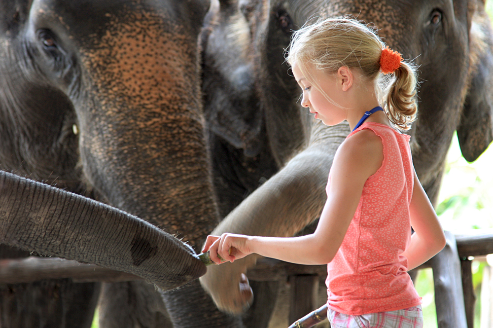 Elephant Hills Experience - Young Girl with Elephant, Khao Sak, Thailand