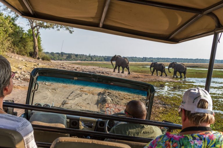 Viewing elephants from within a safari vehicle on an African Safari in Botswana