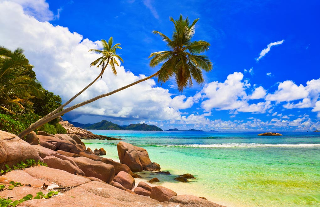 Palms on beach at island La Digue, Seychelles Islands
