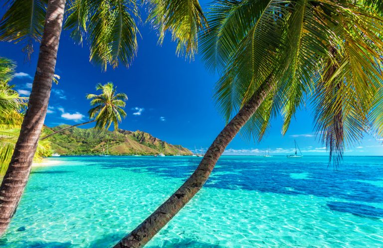 A Tahitian Beach, South Pacific Vacations, Tahiti Vacations