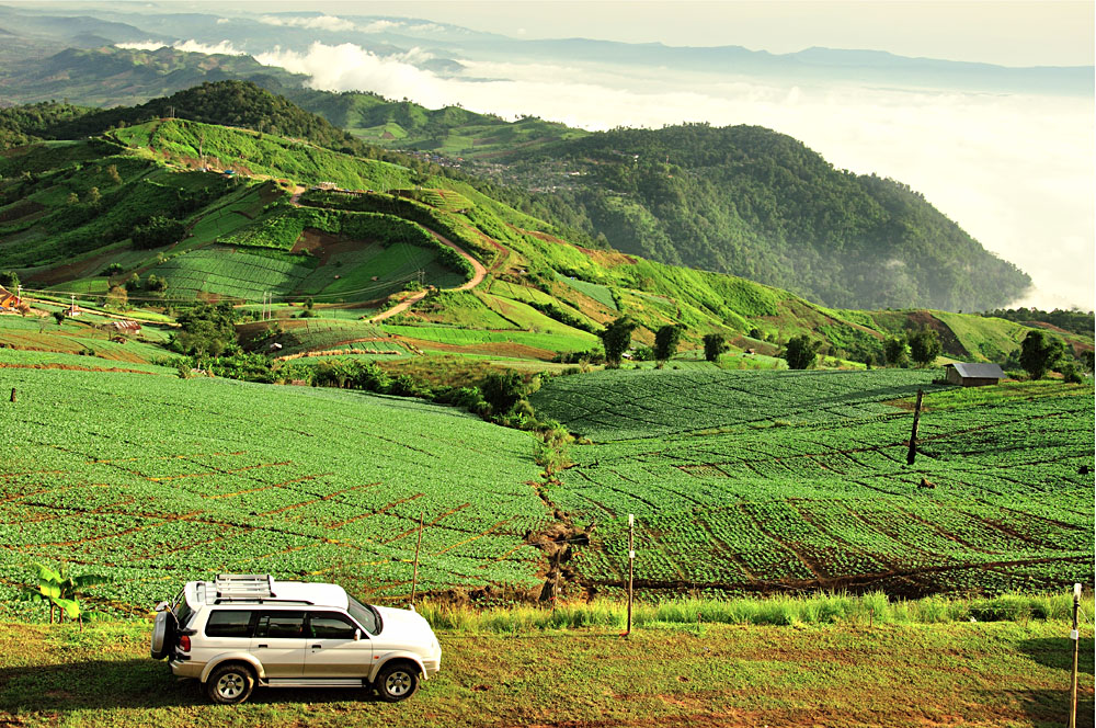Beautiful Landscape with Touring SUV, Thailand