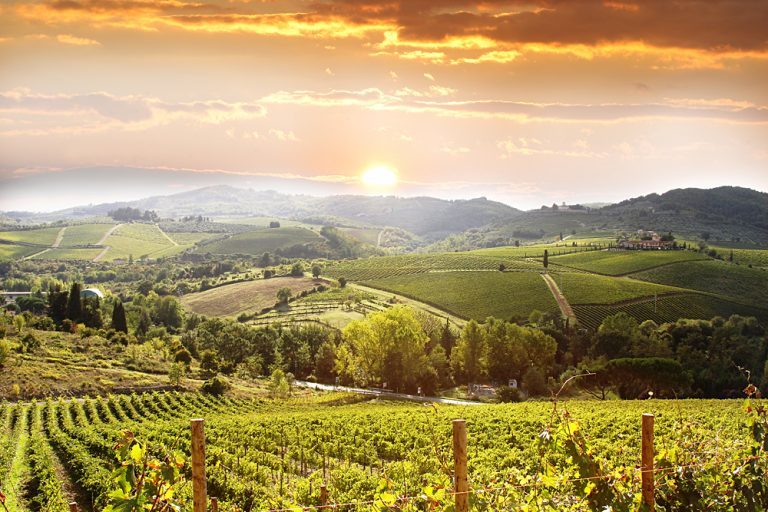 chianti vineyard landscape in tuscany italy, Italy Trip