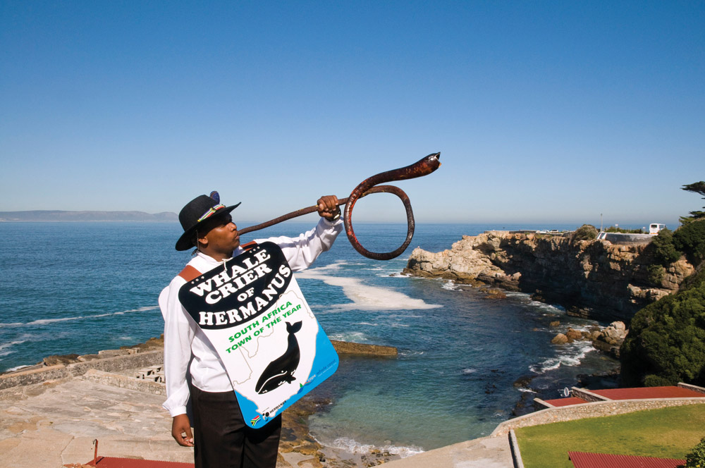 Hermanus Whale Crier, South Africa